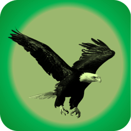 夜光照相機手機版