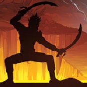 忍者戰(zhàn)士3d內(nèi)購(gòu)修改版(大亂鬥)