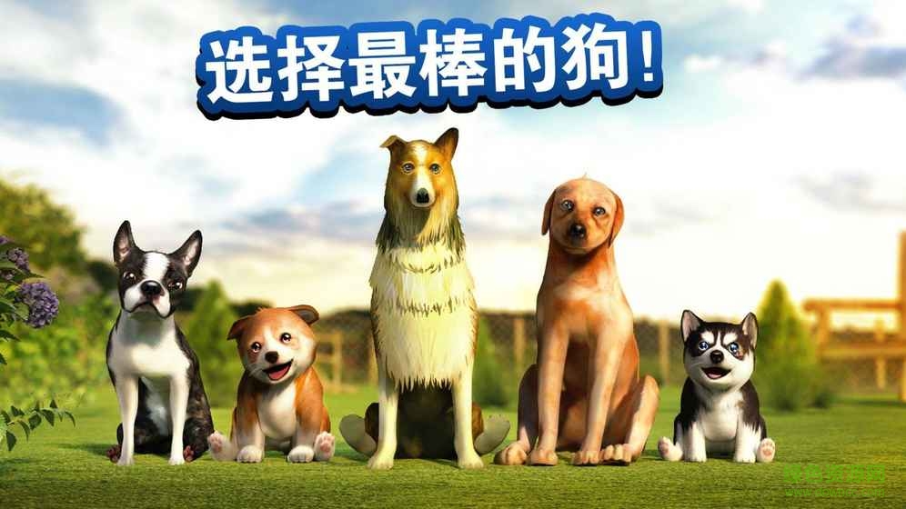 小狗模擬器內(nèi)購修改版(DogSimulator) v4.2.0 安卓中文無限金幣版 1