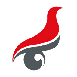 學(xué)信網(wǎng)app(查學(xué)籍查詢(xún)學(xué)籍)