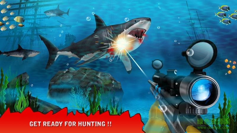 捕獲鯊魚內(nèi)購(gòu)修改版(shark hunting) v1.3 安卓修改版 2