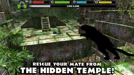 黑豹模擬器正式版 黑豹模擬器中文正式版