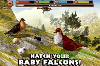 獵鷹模擬器 獵鷹模擬器中文版下載