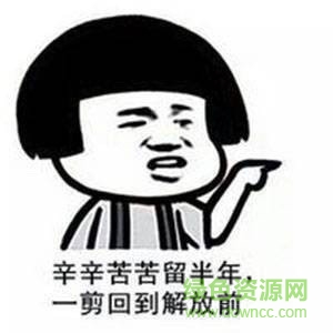 空氣劉海剪好了表情包下載