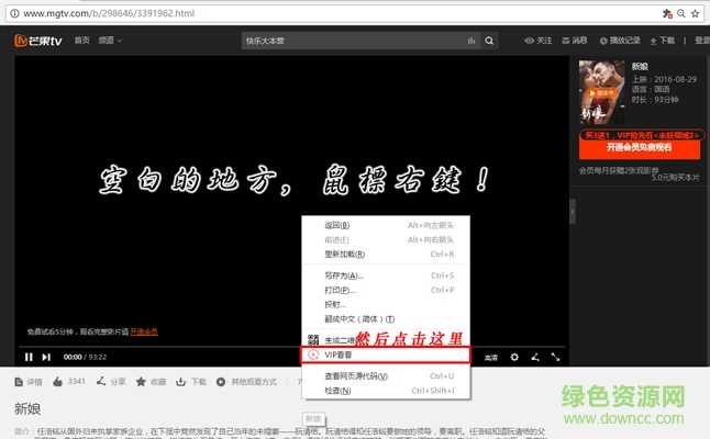 vip看看插件 vip看看插件下載