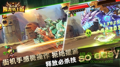 魔龍騎士團(tuán)變態(tài)版 v1.20 安卓版 0