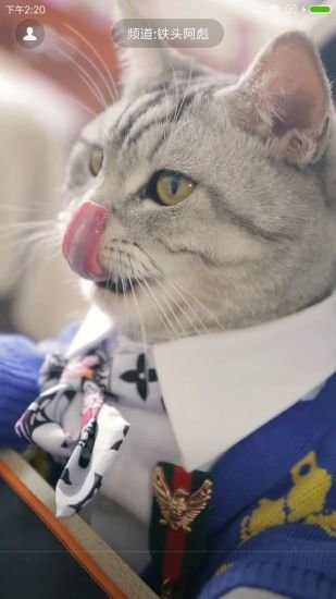 哈萌視頻 v1.0.0.15 安卓版 0