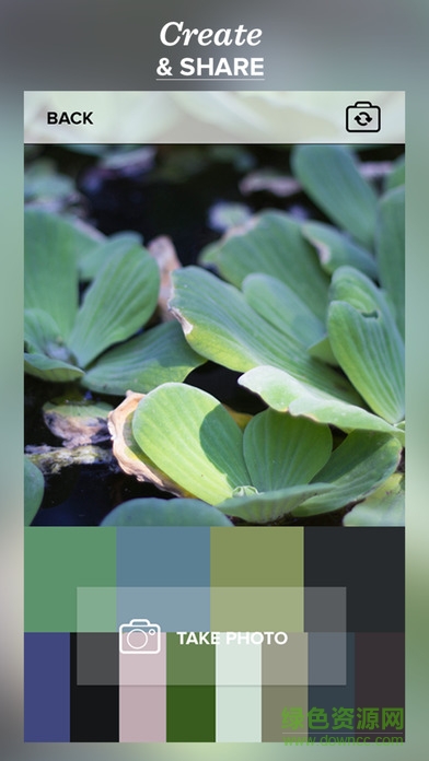 color viewfinder取色器 v2.4.585 安卓版 0