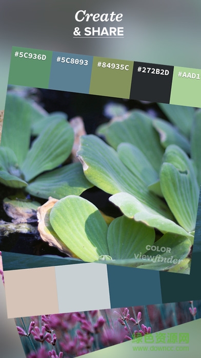 color viewfinder取色器 v2.4.585 安卓版 2