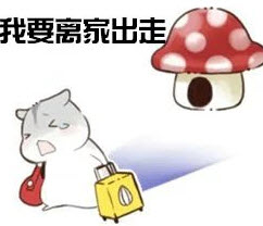 夫控妻奴小倉鼠表情包