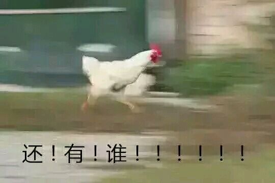 一只公雞奔跑的表情包