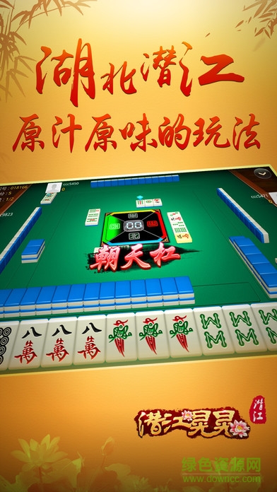 潛江晃晃單機麻將app v6.1.0 2