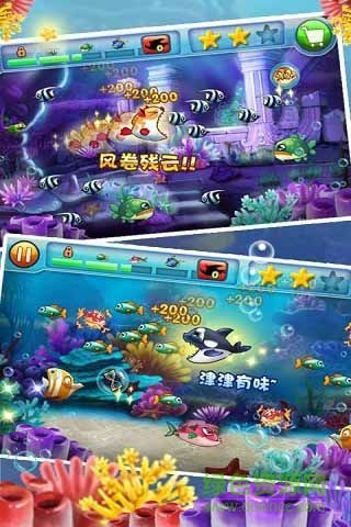 大魚吃小魚2無限金幣版 大魚吃小魚2中文版