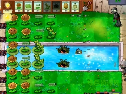 植物大戰(zhàn)僵尸忍者版無限鉆石版