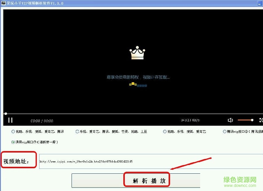 掌玩小子VIP視頻解析軟件 v1.0 綠色免費版 0