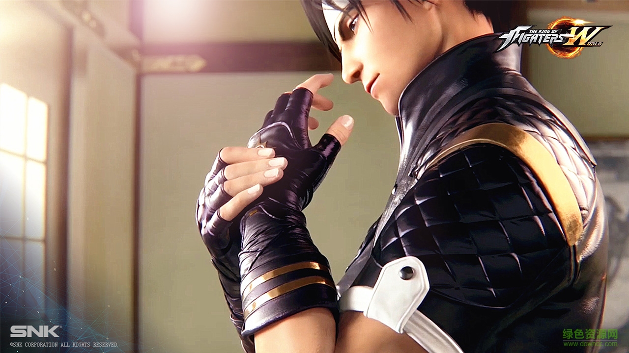 拳皇世界樂道手游 v1.1.0 安卓版 0