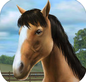 我的馬內(nèi)購ios