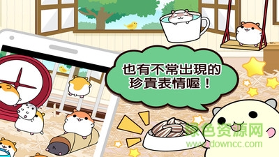 倉鼠收集漢化(倉鼠系列) v1.3.1 安卓中文版 1