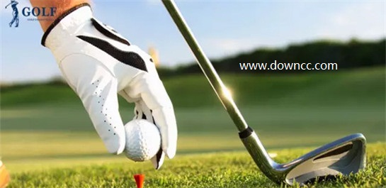 高爾夫游戲哪個(gè)好玩?高爾夫手游排行榜-手機(jī)高爾夫游戲大全