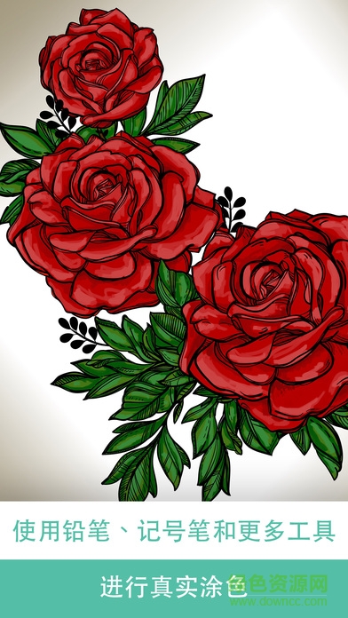 Pigment涂色簿 v1.0.8 安卓版 1