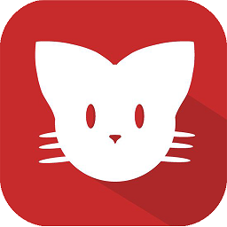 封號(hào)斗羅飛升版