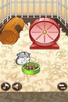 倉(cāng)鼠的日常游戲正式版(Hamster Life) v4.4.9 安卓無(wú)限金幣版 0