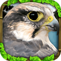 終極獵鷹模擬器(FalconSim)