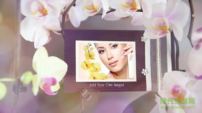 浪漫蘭花叢婚禮相冊婚慶模板ae模板 浪漫蘭花叢婚禮相冊婚慶模板ae模板