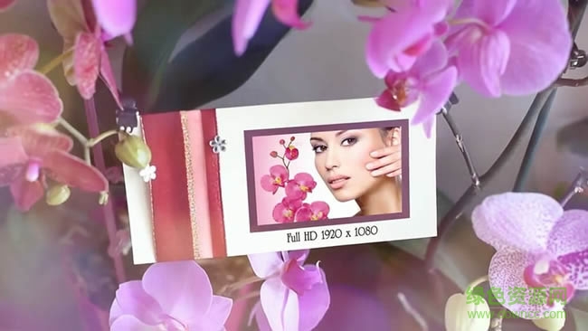 浪漫蘭花叢婚禮相冊婚慶模板ae模板 “婚慶ae模板免費(fèi)下載”