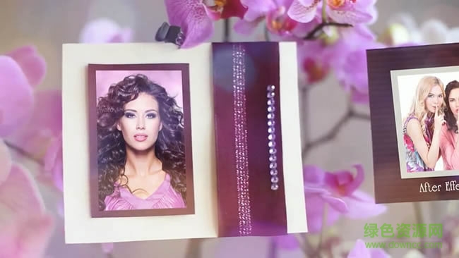 浪漫蘭花叢婚禮相冊婚慶模板 ae模板 0