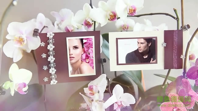 浪漫蘭花叢婚禮相冊婚慶模板ae模板 “婚慶ae模板下載”