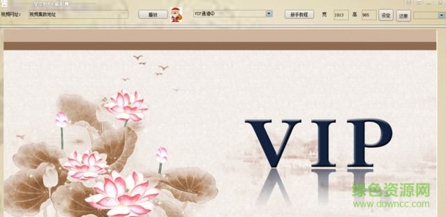 vip視頻解析軟件