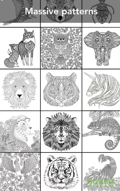 Animal Coloring Animal Coloring安卓版