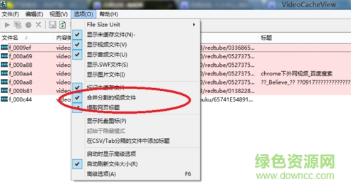 videocacheview漢化版