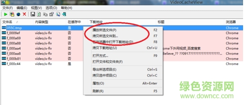 videocacheview中文版