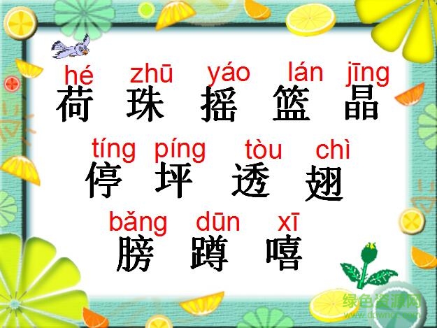 荷葉圓圓ppt課件