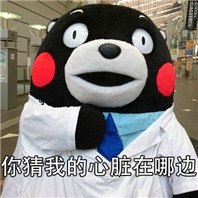 熊本熊撩妹表情包