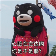 熊本熊套路表情包