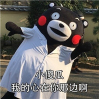 熊本熊套路妹子表情包