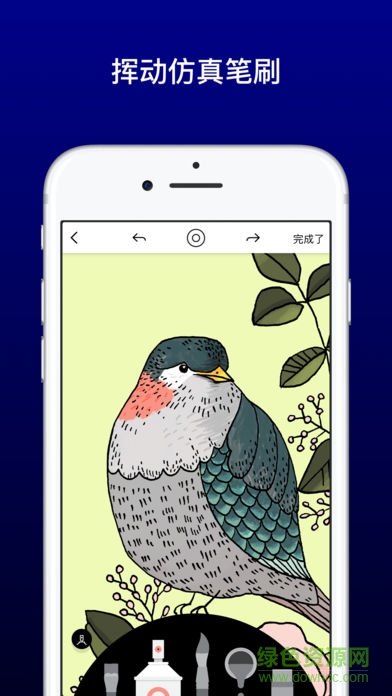 lake填色軟件 v2.2.6 安卓版 3