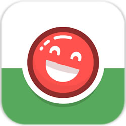 口袋小球(PKTBALL-Endless Smash Sport)