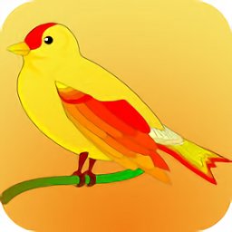 拍照識(shí)鳥(niǎo)app(中國(guó)野鳥(niǎo)速查)