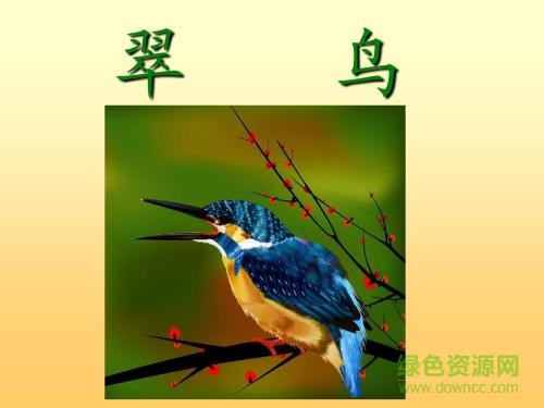翠鳥免費(fèi)ppt課件  0