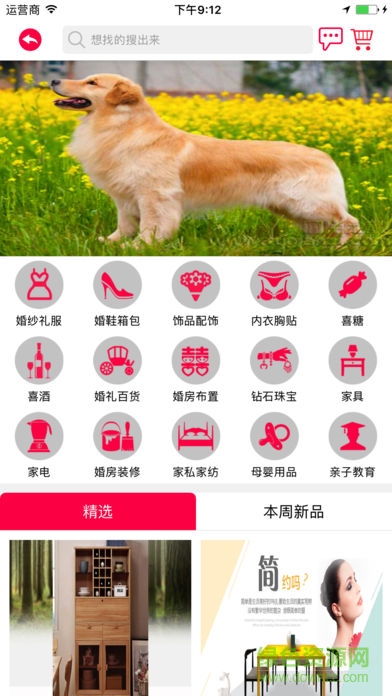 婚禮象 v1.0 安卓版 0