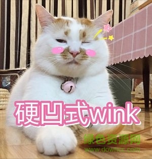 樓樓貓表情包  0