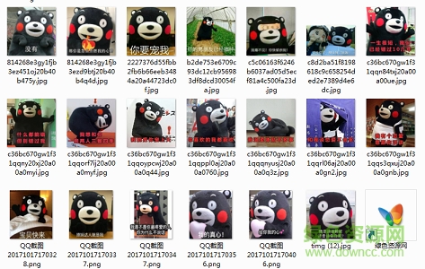 熊本熊套路妹子表情包 +46 0