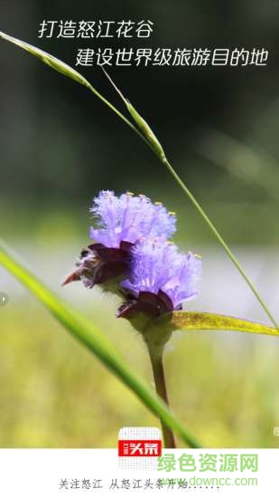 怒江頭條 怒江頭條app下載