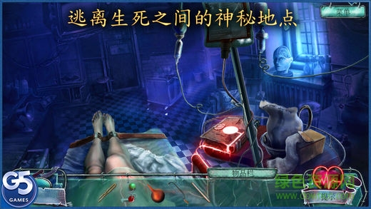 愛(ài)麗絲之旅