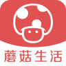 蘑菇生活
