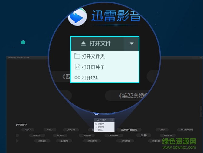 迅雷播放特權(quán) v1.2.2.9 綠色版 0